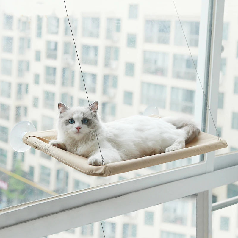 H2d2a92c7589a4eb681be986f304f8830O